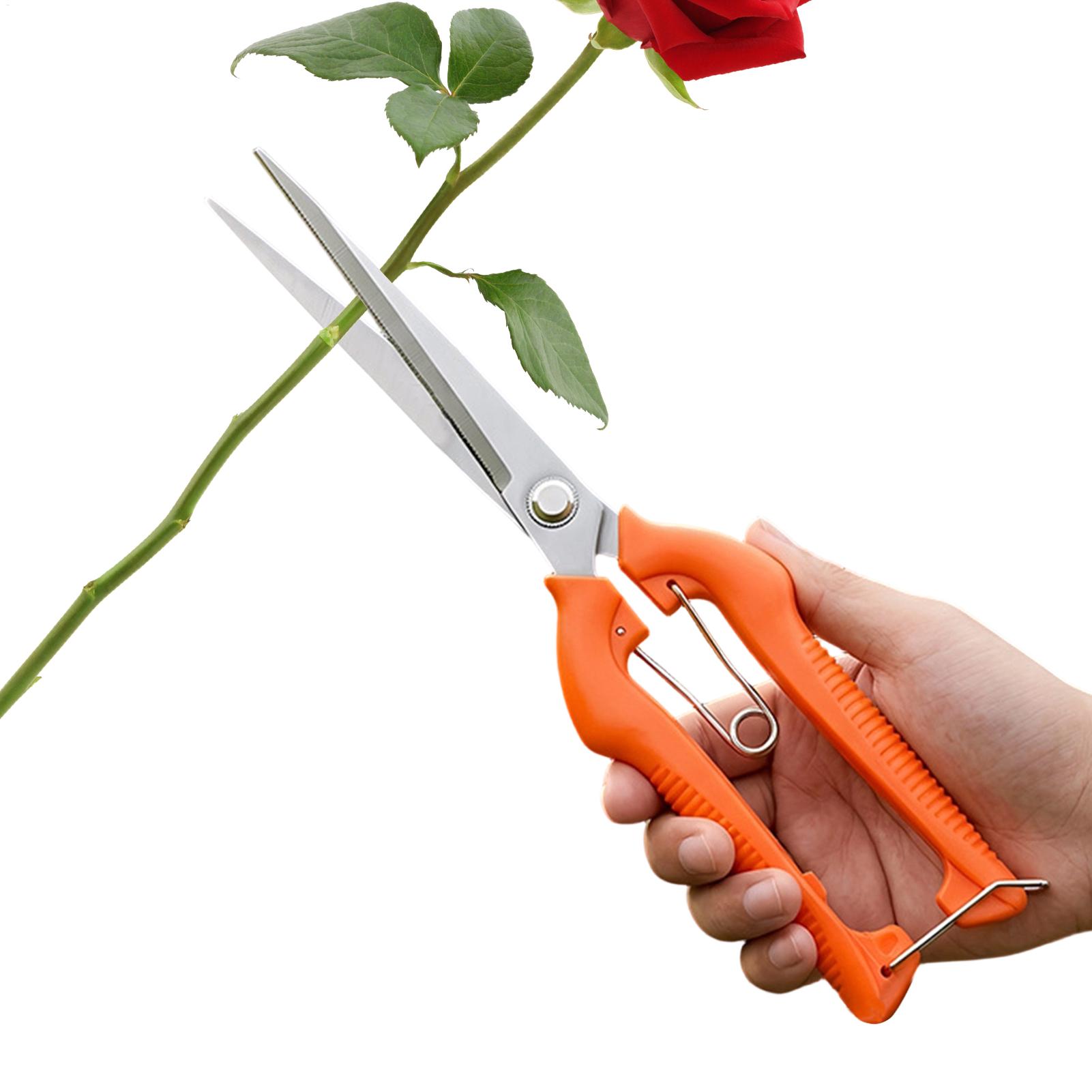 Gardening Tools For Women - Pruning Shears Grape Scissors Garden Tool