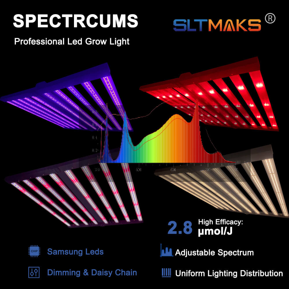 US Stock PPFD 2800 Umol/S Led  - Led Grow Light ulasan dan harga