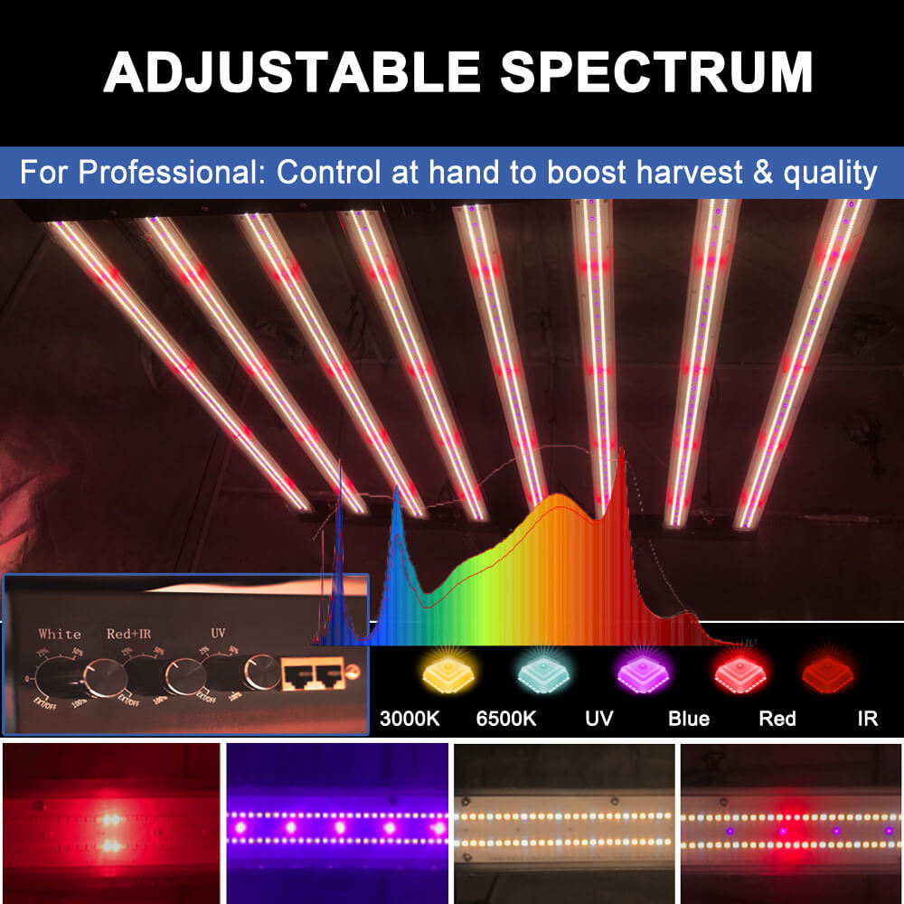 US Stock PPFD 2800 Umol/S Led  - Led Grow Light ulasan dan harga