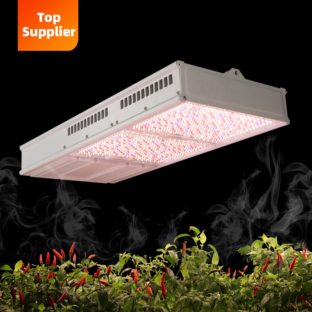 Cost-Effective 600W 800W Topli - Led Grow Light ulasan dan harga