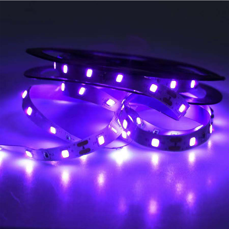 UV LED Ultraviolet Light, Blac - Led Grow Light ulasan dan harga
