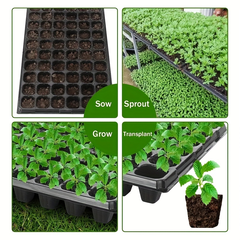 10-20nursery tray, greenhouse  - Seed Starter Trays ulasan dan harga