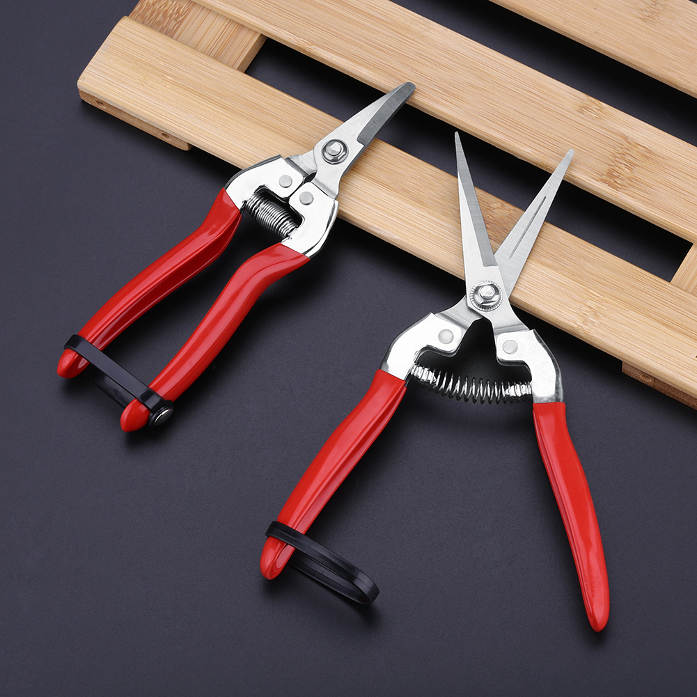 Sturdy Fruit Tree Bonsai Garde - Gardening Tools For Women ulasan dan harga