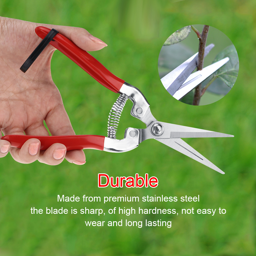 Sturdy Fruit Tree Bonsai Garde - Gardening Tools For Women ulasan dan harga
