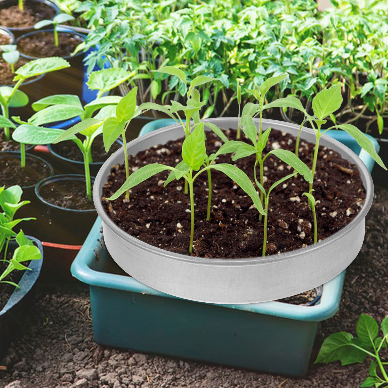 1Set Germination Tray Stainles - Seed Starter Trays ulasan dan harga