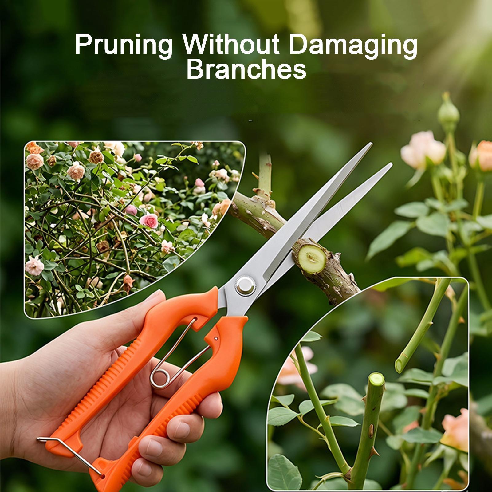 Pruning Shears Grape Scissors  - Gardening Tools For Women ulasan dan harga