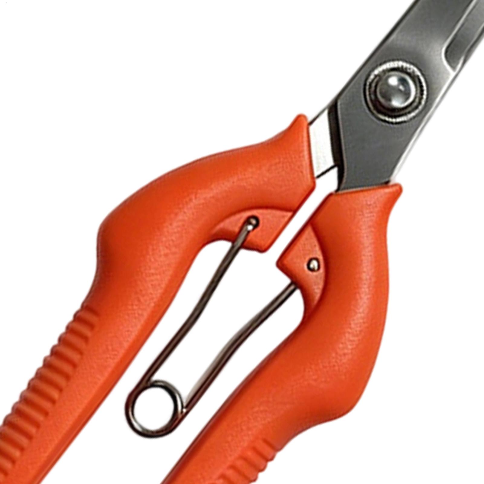 Pruning Shears Grape Scissors  - Gardening Tools For Women ulasan dan harga