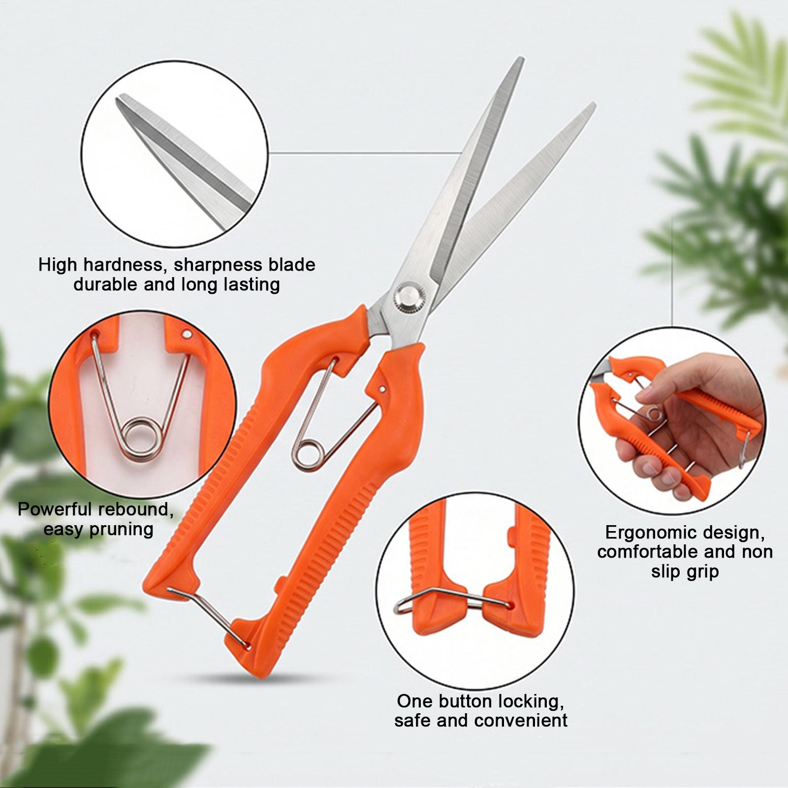 Pruning Shears Grape Scissors  - Gardening Tools For Women ulasan dan harga