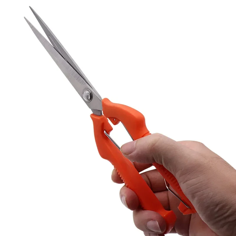 Pruning Shears Grape Scissors  - Gardening Tools For Beginners ulasan dan harga