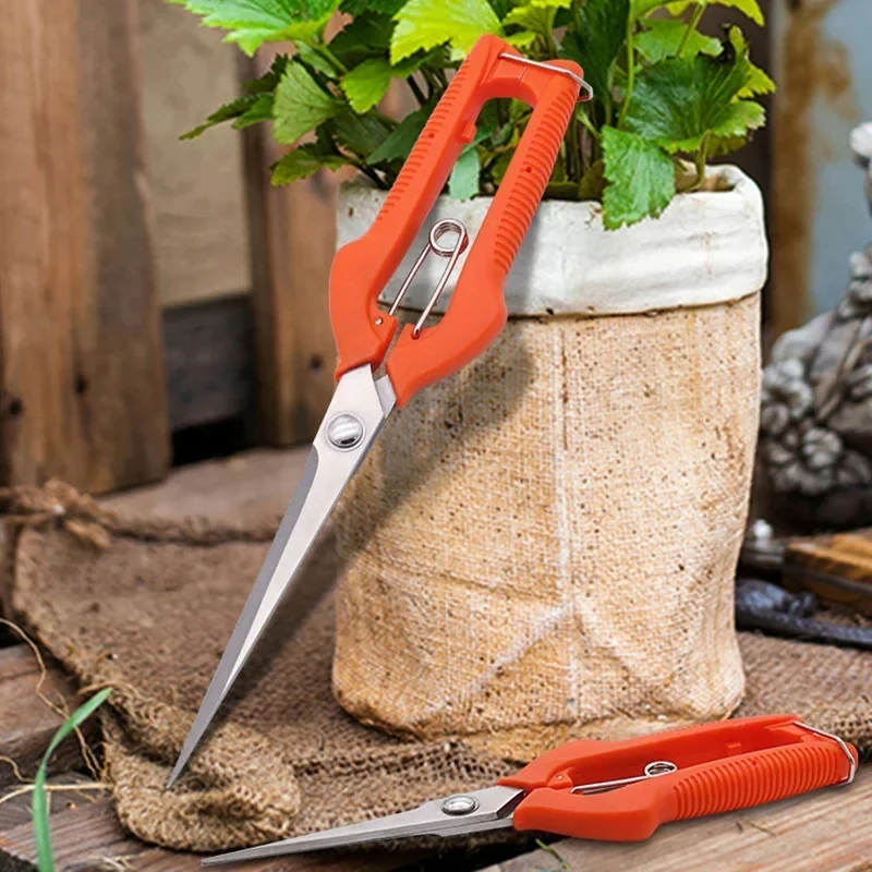 Pruning Shears Grape Scissors  - Gardening Tools For Beginners ulasan dan harga