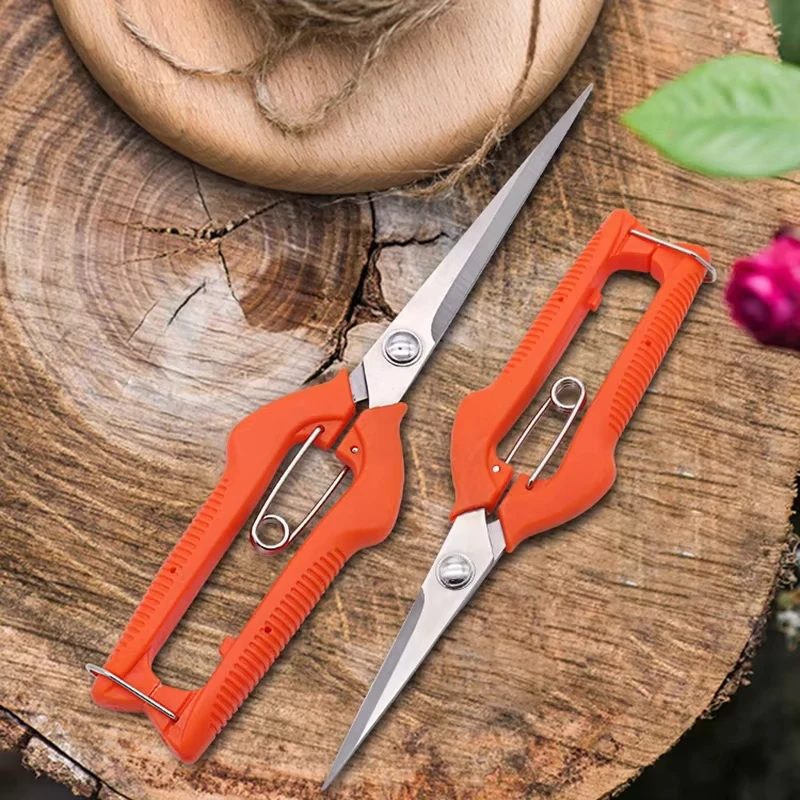 Pruning Shears Grape Scissors  - Gardening Tools For Beginners ulasan dan harga
