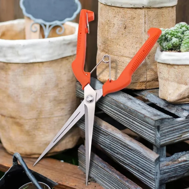 Pruning Shears Grape Scissors  - Gardening Tools For Beginners ulasan dan harga