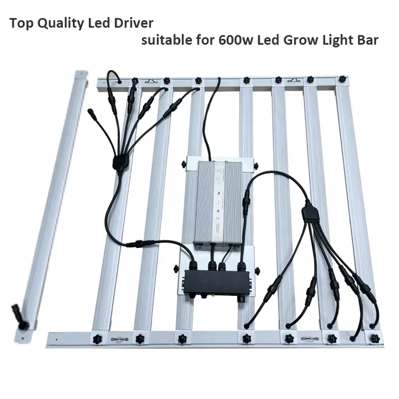 600W Grow Light Driver Inventr - Led Grow Light ulasan dan harga
