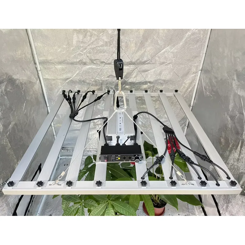 600W Grow Light Driver Inventr - Led Grow Light ulasan dan harga