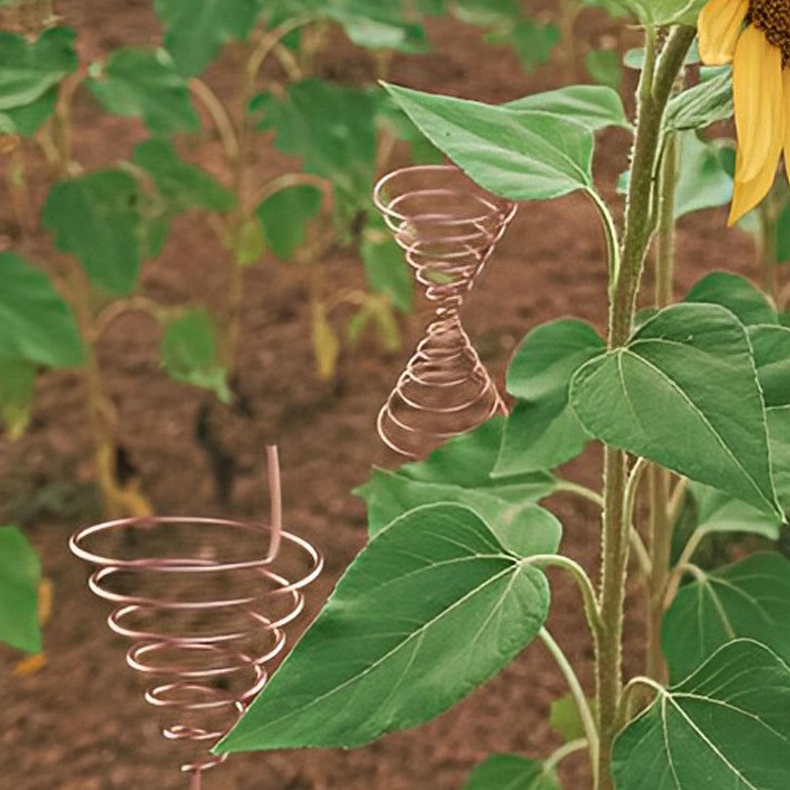 Coil Winding Jig for Electrocu - Gardening Tool Diy ulasan dan harga