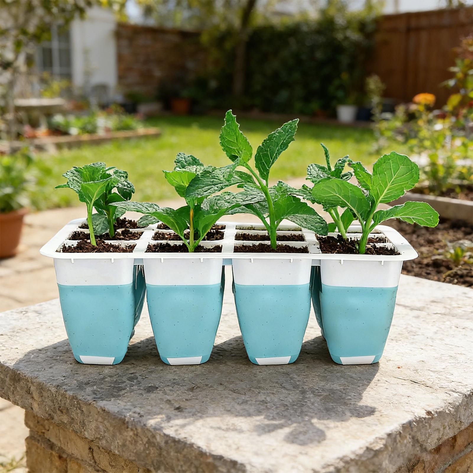 5 Pack Silicone Seed Starter T - Seed Starter Trays ulasan dan harga
