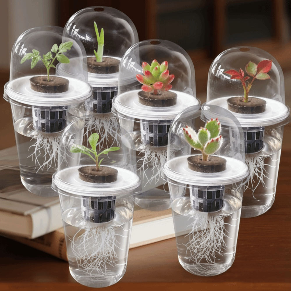 1-5pc Visible Clear Plants Ger - Seed Starter Trays ulasan dan harga