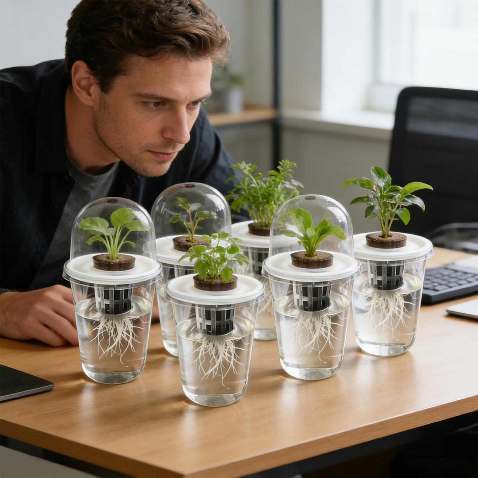 1-5pc Visible Clear Plants Ger - Seed Starter Trays ulasan dan harga