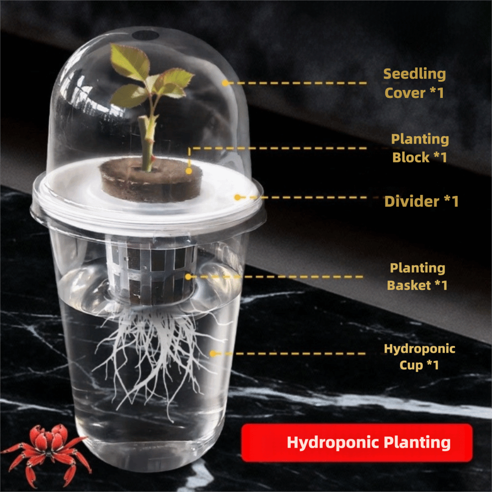 1-5pc Visible Clear Plants Ger - Seed Starter Trays ulasan dan harga