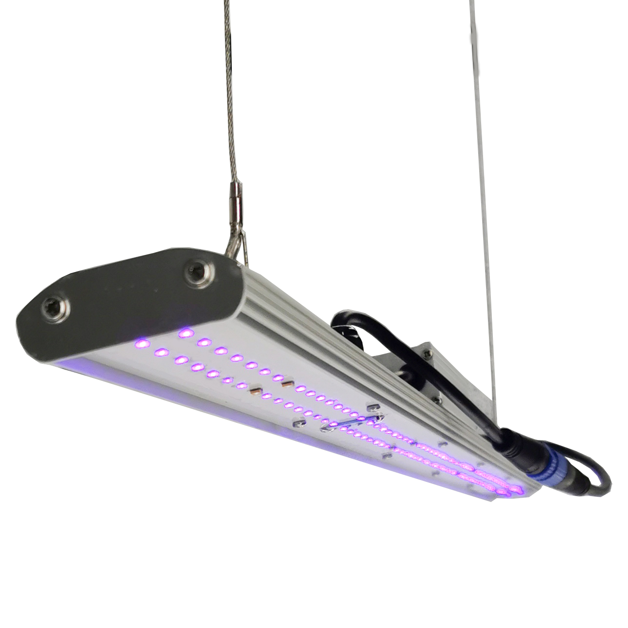 DANSE LED Manual Dimmer LED Gr - Led Grow Light ulasan dan harga