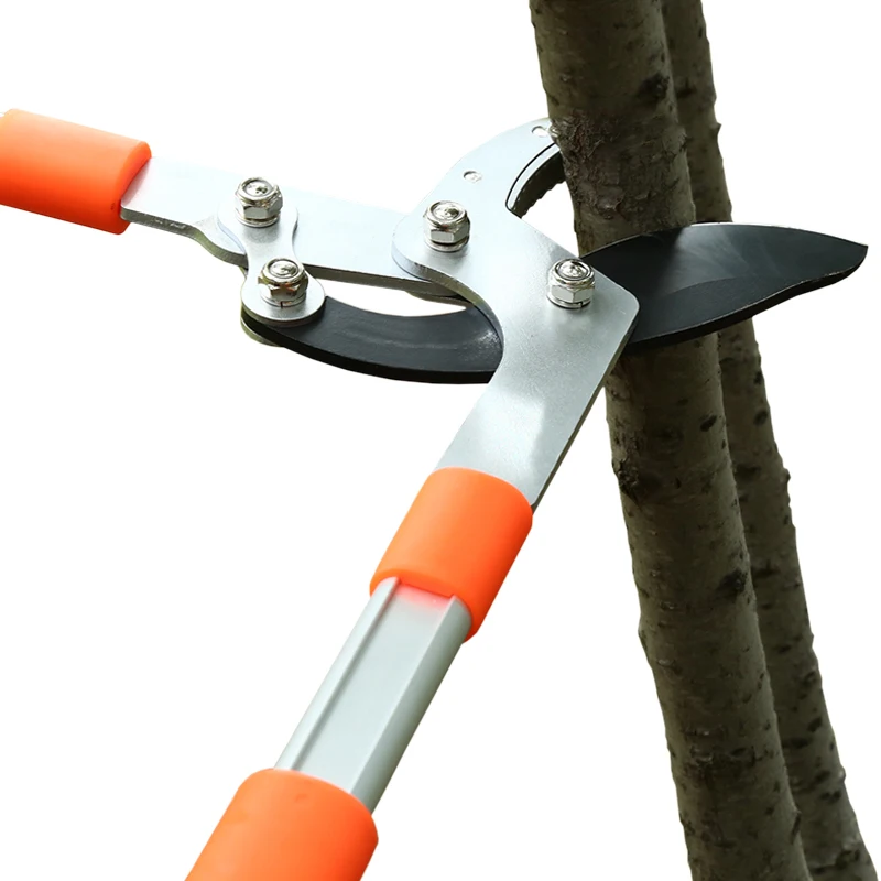 Long Length Scissor Hedge Anvi - Gardening Tools German ulasan dan harga