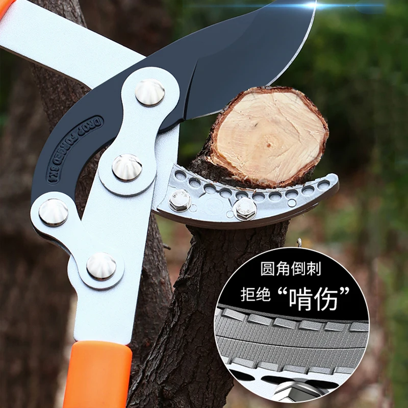 Long Length Scissor Hedge Anvi - Gardening Tools German ulasan dan harga