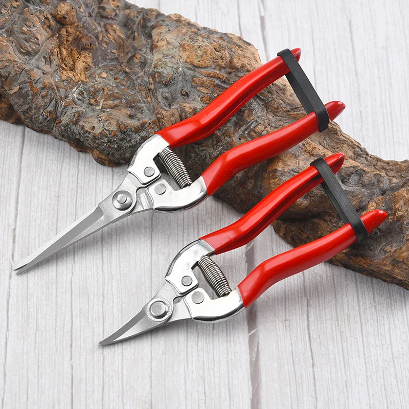 Stainless Steel Pruning Scisso - Gardening Tools For Women ulasan dan harga