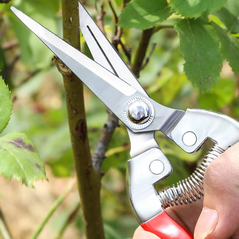 Stainless Steel Pruning Scisso - Gardening Tools For Women ulasan dan harga