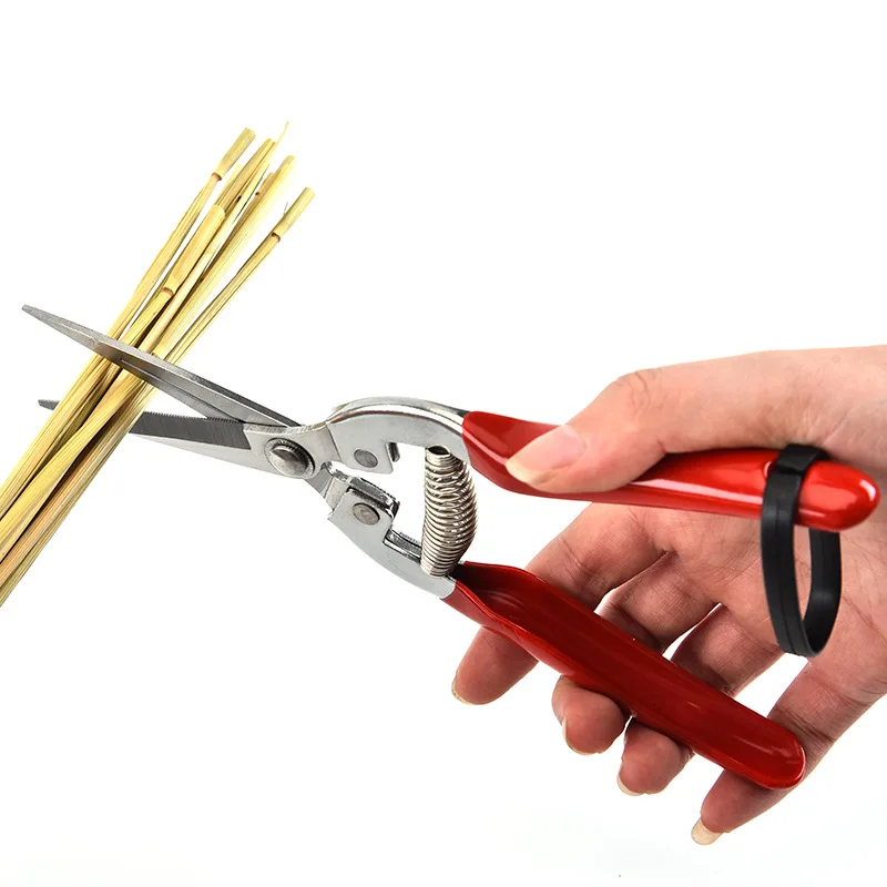 Stainless Steel Pruning Scisso - Gardening Tools For Women ulasan dan harga