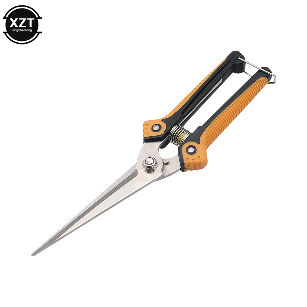 Pruning Scissors Professional  - Gardening Tools For Women ulasan dan harga