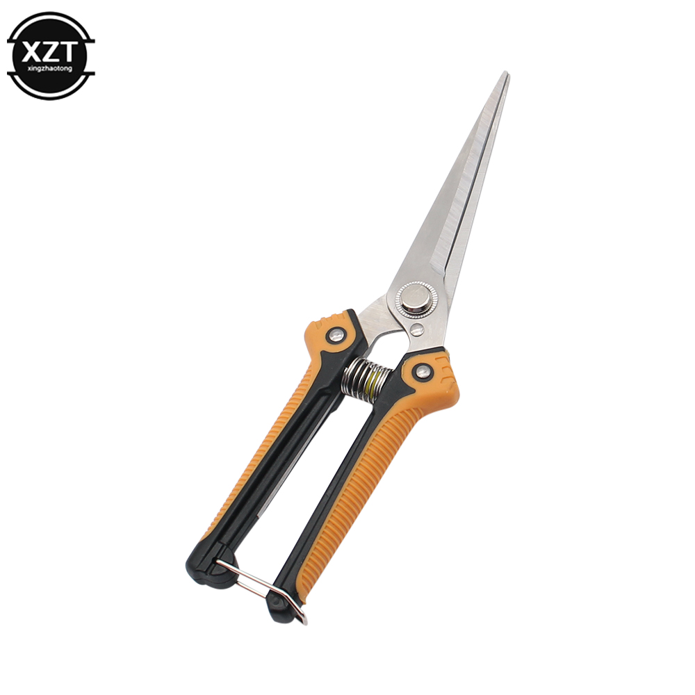 Pruning Scissors Professional  - Gardening Tools For Women ulasan dan harga