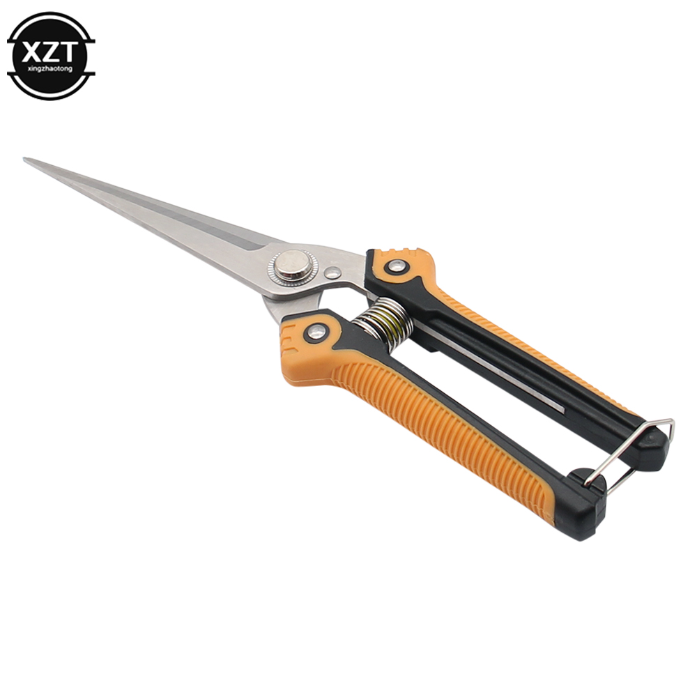 Pruning Scissors Professional  - Gardening Tools For Women ulasan dan harga
