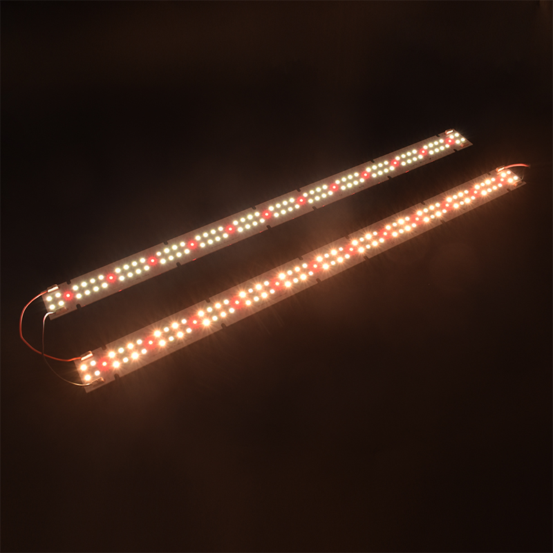 High Quality IP55 Rated COB LE - Led Grow Light ulasan dan harga