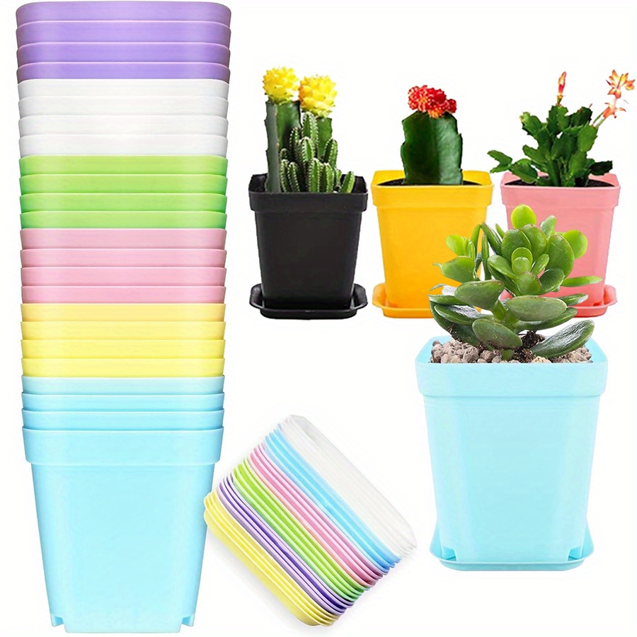 12pcs 7cm Plastic Square Pots  - Seed Starter Trays ulasan dan harga