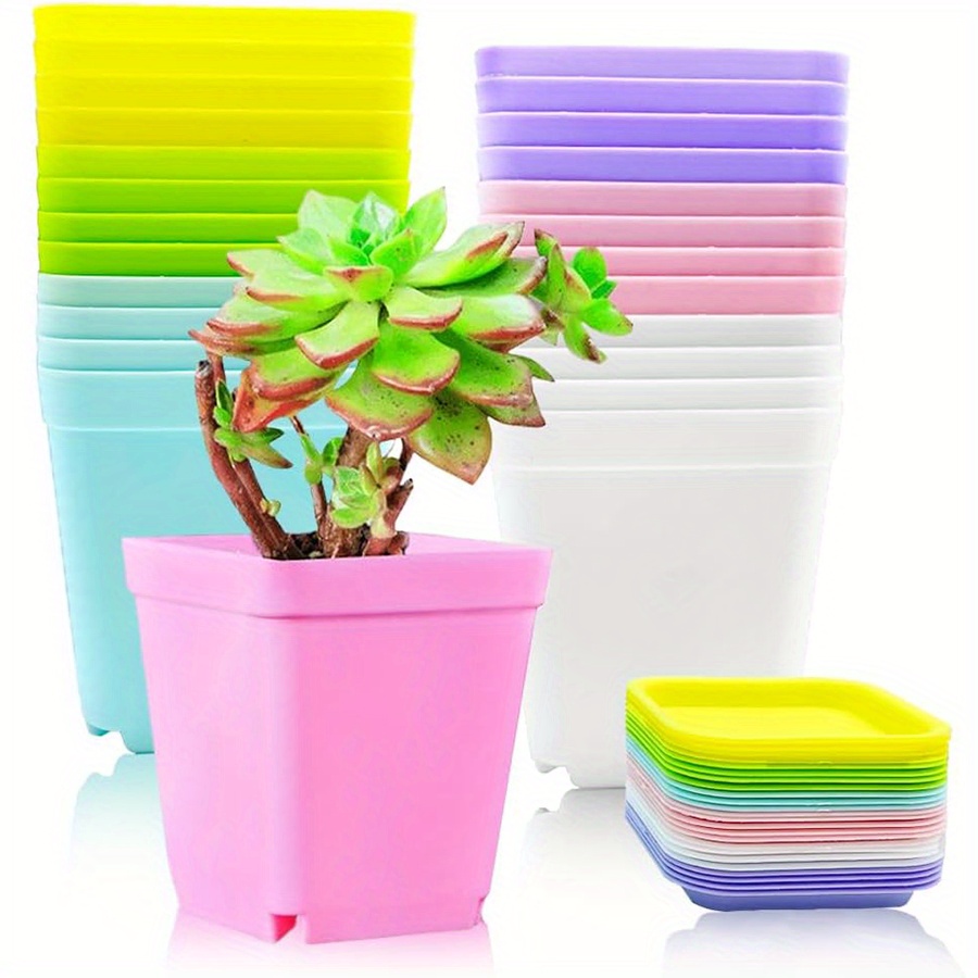 12pcs 7cm Plastic Square Pots  - Seed Starter Trays ulasan dan harga