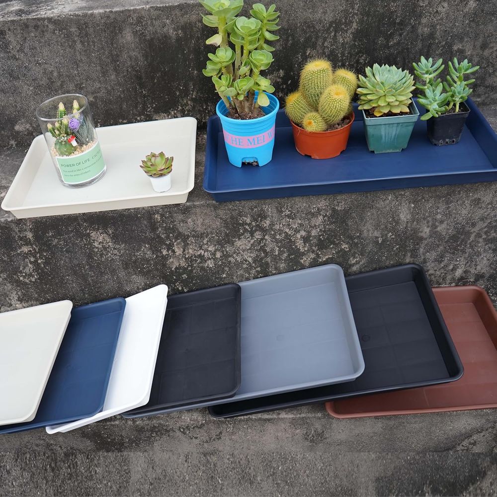 4-Pack Large Plastic Plant Dra - Seed Starter Trays ulasan dan harga