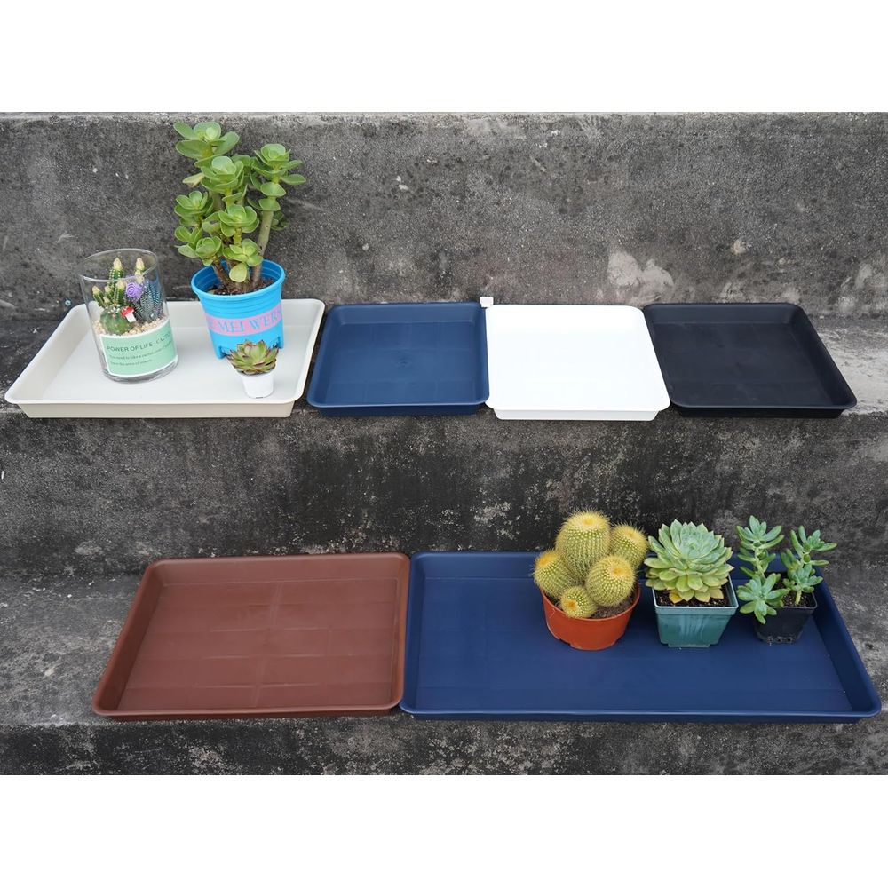 4-Pack Large Plastic Plant Dra - Seed Starter Trays ulasan dan harga