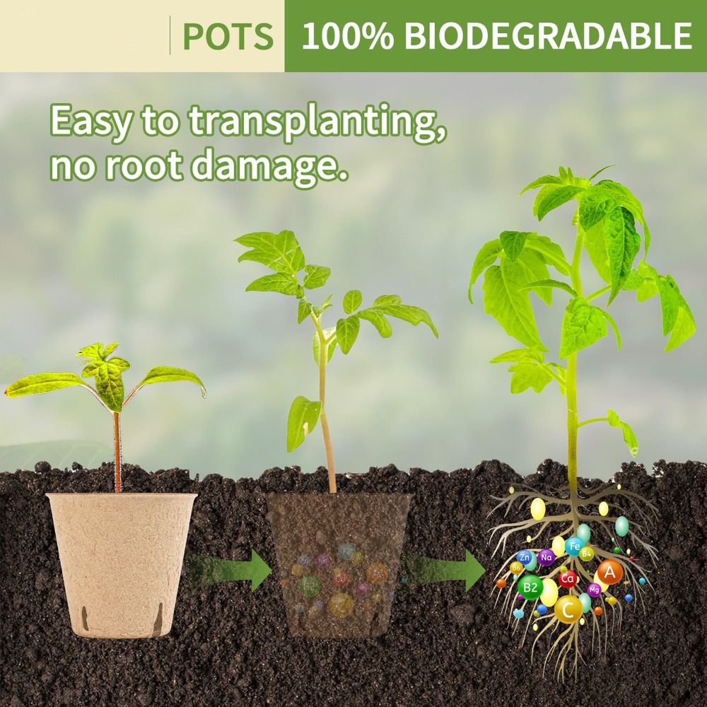50PCS Biodegradable Plant Star - Seed Starter Trays ulasan dan harga